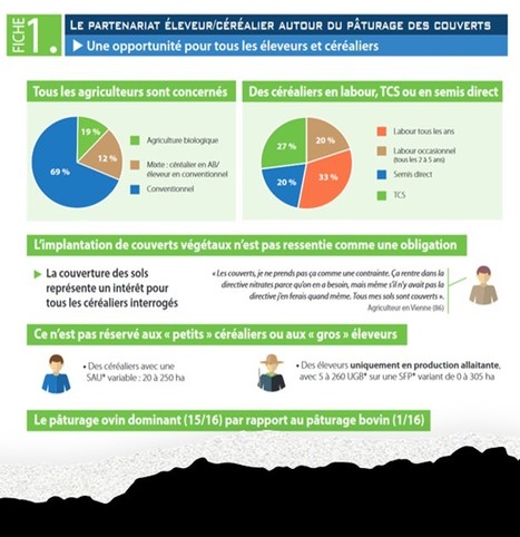 Le partenariat éleveur/céréalier autour du pâturage | Lait de Normandie... et d'ailleurs | Scoop.it