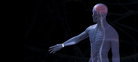 Fibromyalgie, migraines, arthrose : un bracelet électronique anti-douleur made in France | Actualité sanitaire et sociale - CRDI Croix-Rouge Compétence                               Hauts-de-France | Scoop.it