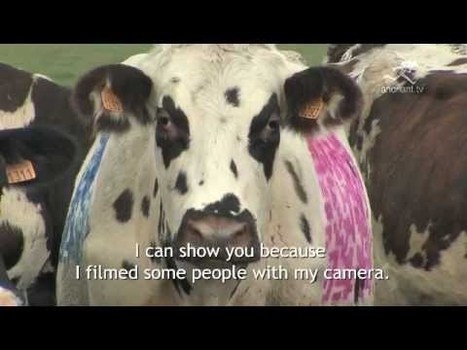 10 fa&ccedil;ons originales et cr&eacute;atives d&rsquo;utiliser le QR Code | | De la bonne utilisation des QR-Codes | Scoop.it