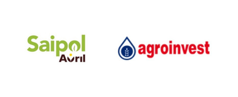 Saipol et Agroinvest renforcent leur partenariat stratégique pour dynamiser la filière oléagineuse en Méditerranée | ITERG - Veille sectorielle | Scoop.it