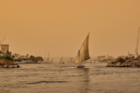 EGYPT: The NILE delta is badly polluted by heavy metals | CIHEAM Press Review | Scoop.it