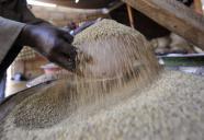 Agriculture: les prix alimentaires mondiaux au plus bas depuis septembre 2010 | Questions de développement ... | Scoop.it