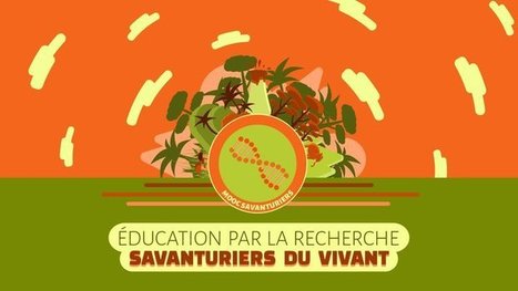 MOOC - &Eacute;ducation par la recherche : Savanturiers du vivant | Insect Archive | Scoop.it