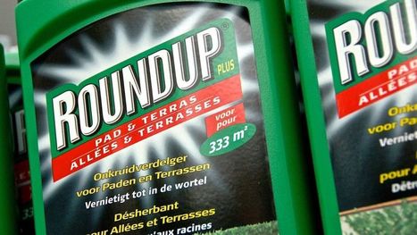 Mouscron : du pesticide Roundup mis en vente (à moitié prix) dans un Carrefour, malgré l'interdiction | GREENEYES | Scoop.it
