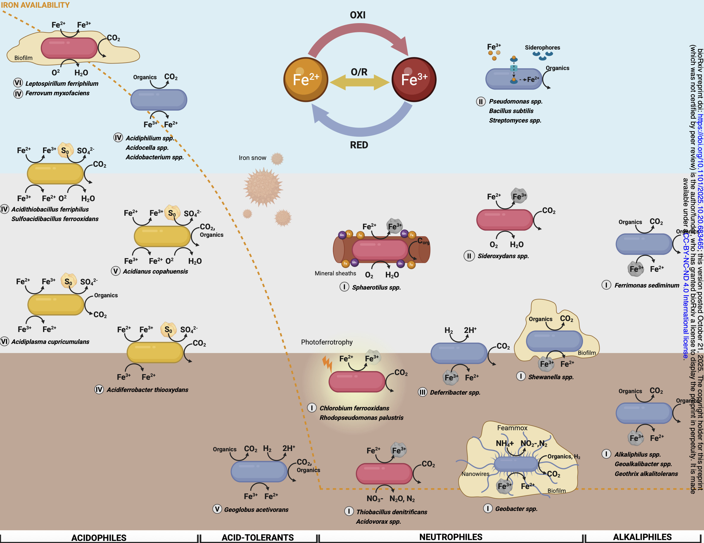 Trait-Based Meta-Analysis of Microbial Guilds i...