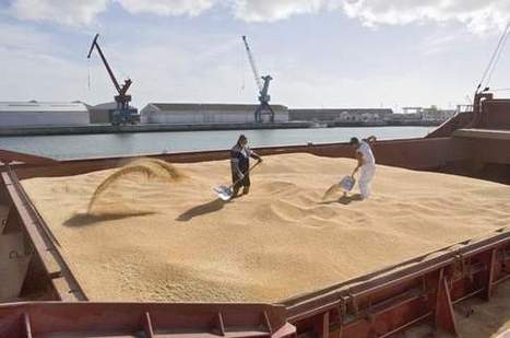 Matières premières: les maîtres du grain sur des sables mouvants | Questions de développement ... | Scoop.it