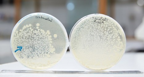 Stimuler l’action des antibiotiques grâce aux huiles essentielles | La Cabane aux Arômes | Scoop.it