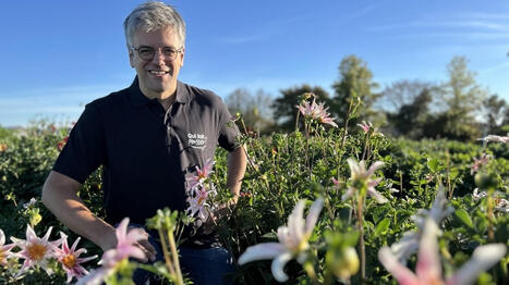 Ces horticulteurs locaux d&eacute;veloppent un Amazon &agrave; la fran&ccedil;aise pour vendre leurs plantes et leurs fleurs - Ouest France [Abonn&eacute;s] | Agriculture et communication positive | Scoop.it