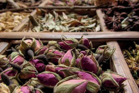 Cosmétique : La protection de l'environnement au cœur de la beauté | ITERG Environnement et Eco-industries | Scoop.it