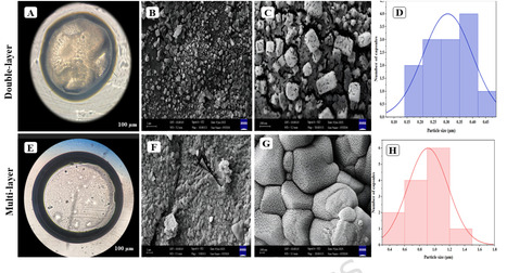Biopolymer-based multilayer capsules for protection and controlled release of Pseudomonas fluorescens T17-4 and Bacillus velezensis VRU1 | Srep | RMH | Scoop.it