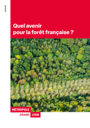 Quel avenir pour la for&ecirc;t fran&ccedil;aise ? : Millenaire 3, Climat & Environnement | Paysage - Environnement | Scoop.it