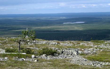 Lappi - porosanasto, eräsanasto, tunturisanasto, lappisanasto | 1Uutiset - Lukemisen tähden | Scoop.it