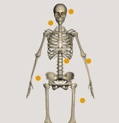 Corpus. Decouvrir le corps humain en 3D | Ressources pour vous former en ligne | Scoop.it