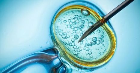 Multicellular Life Was Caused By The Same Gene That Suppresses Cancer | Chair et M&eacute;tal - L'Humanit&eacute; augment&eacute;e | Scoop.it