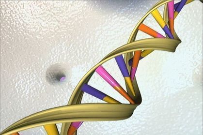 L'ADN, disque dur du futur | Think outside the Box | Scoop.it
