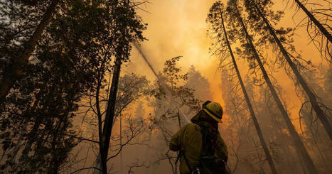 Wildfires scorching the West Coast are a growing risk for homeowners nationwide - CBS News | Agents of Behemoth | Scoop.it