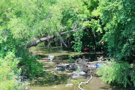 Austin seeks community feedback on waterway strategy update, future investments | exTRA by the Trinity River Authority of Texas | Scoop.it