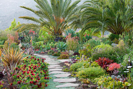 The 19 Best Edging Plants for Your Flower Beds | Best Backyard Patio Garden Scoops | Scoop.it