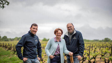 Ce domaine viticole s&rsquo;ouvre au public dans cette commune de Loire-Atlantique - Ouest France | Agriculture et communication positive | Scoop.it