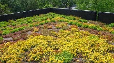 Différents types de toits végétalisés : intensif, semi-extensif, extensif | Build Green, pour un habitat écologique | Scoop.it