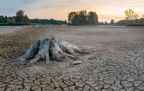 &nbsp;FRANCE : S&eacute;cheresse 2026 | CIHEAM Press Review | Scoop.it