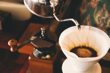 Café, thé : voici les températures parfaites pour les préparer - Medisite | Chicorée | Scoop.it