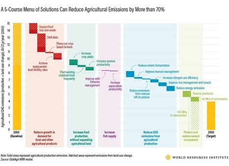 How to Sustainably Feed 10 Billion People by 2050, in 21 Charts | Stage 5 Sustainable Biomes | Scoop.it