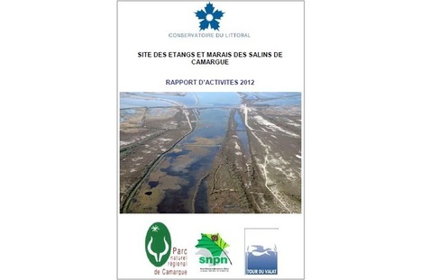 Gestion du site des étangs et marais des salins de Camargue | Biodiversité | Scoop.it