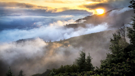 #Climate #action&nbsp;for #supply #chain #emissions | RSE et D&eacute;veloppement Durable | Scoop.it