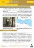 L'Écho des tanières - Lettre d'information du réseau Ours brun | Biodiversité | Scoop.it