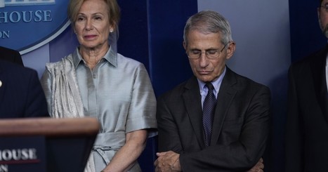 Should Fauci and Birx stick by Trump or quit on principle? | Capstone: An ESRM Coda | Scoop.it