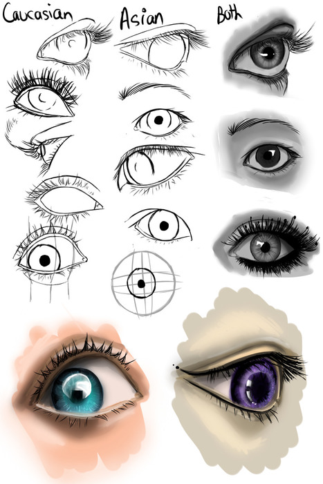 Asian and Caucasian Eye Drawing Reference