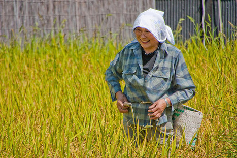 Japan overtakes Russia in EU agri-food exports | ASIES | Scoop.it