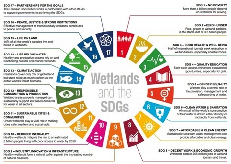 MedWet newsletter - Juillet 2018 | Biodiversité | Scoop.it