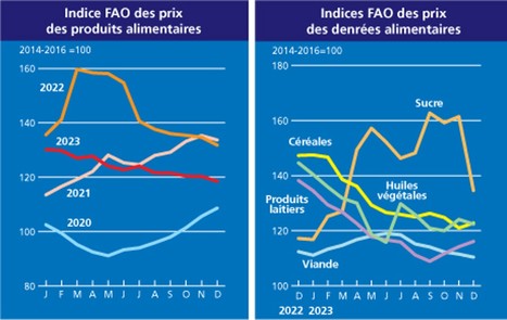 L’Indice FAO des prix des produits alimentaires a sensiblement fléchi en 2023 : -13,7% | Lait de Normandie... et d'ailleurs | Scoop.it