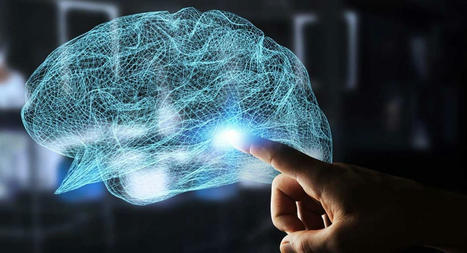 Microbial Involvement In Neurodegeneration | Part 1 | Call:915-850-0900 | The Gut "Connections to Health & Disease" | Scoop.it