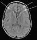 The brain on trial | Science News | Scoop.it