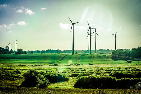 Comment l'agriculture peut-elle gérer sa transition écologique ? | TRANSITION AGROECOLOGIQUE : PRATIQUES ET POLITIQUES AGRICOLES | Scoop.it