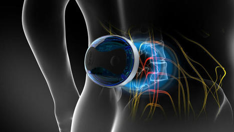 What Exactly Is PEMF Therapy and How Does It Help Alleviate Pain? | Consumer Digital Health | Scoop.it