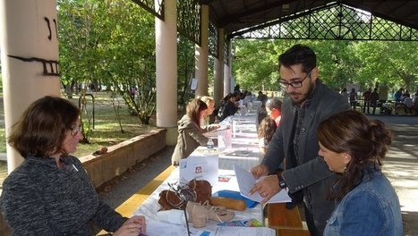 Lacroix-Falgarde. Forum des associations en plein air au Ramier | Lacroix-Falgarde | Scoop.it