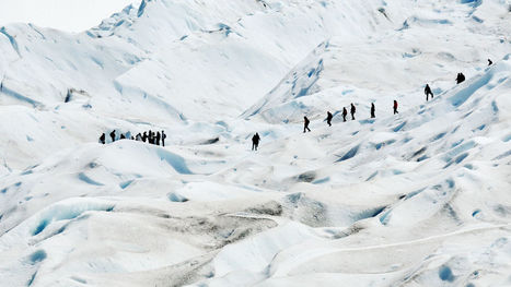 The Purpose-Driven Marketer: How Patagonia Uses Storytelling To Turn Consumers Into Activists | Good Marketing | Scoop.it