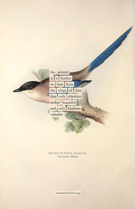The 12 Kinds of Time and How to Be More Fully Alive &ndash; | Voices in the Feminine - Digital Delights | Scoop.it