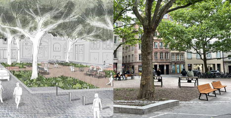 Libérée des voitures : à Strasbourg, la place du Temple Neuf achève sa transformation | Strasbourg Eurométropole Actu | Scoop.it