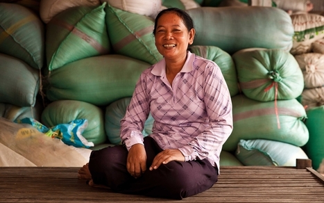 CAMBODIA: Seeds of success | SRI Global News ++ June - September 2025    System of Rice Intensification (SRI) | Scoop.it