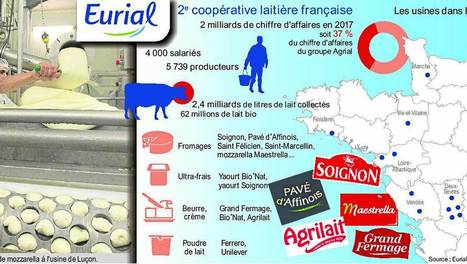 Eurial : premiers dividendes pour les éleveurs | Lait de Normandie... et d'ailleurs | Scoop.it