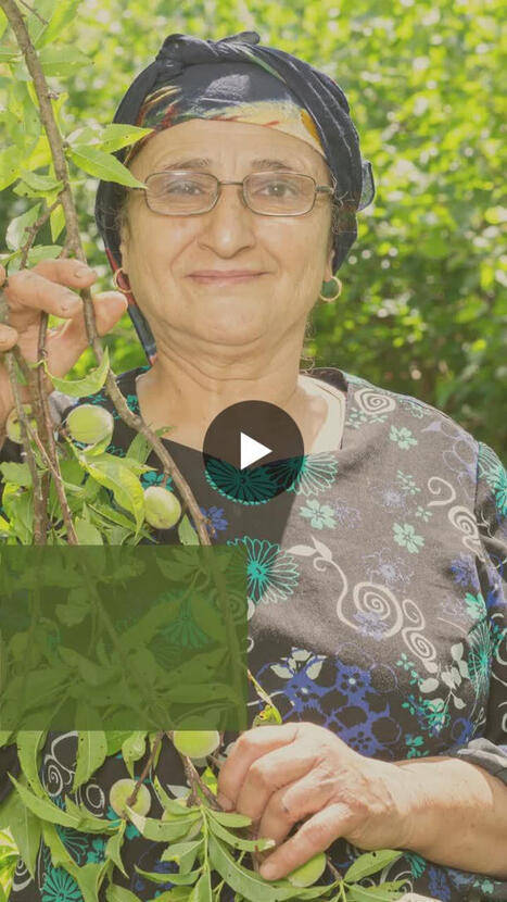 CIHEAM:  International Day of Rural Women | CIHEAM Press Review | Scoop.it