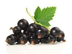 L'hydrolat de cassis | Aromathologie | Scoop.it