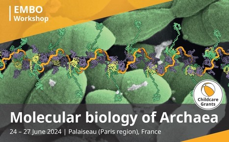 EMBO conference "Molecular Biology of Archaea" 23-27th of june 2024 in Palaiseau (near Paris)!  | I2BC Paris-Saclay | Scoop.it