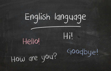 Could the Netherlands crack the secret of language learning using this approach? | Language Education Outside the U.S. | Scoop.it
