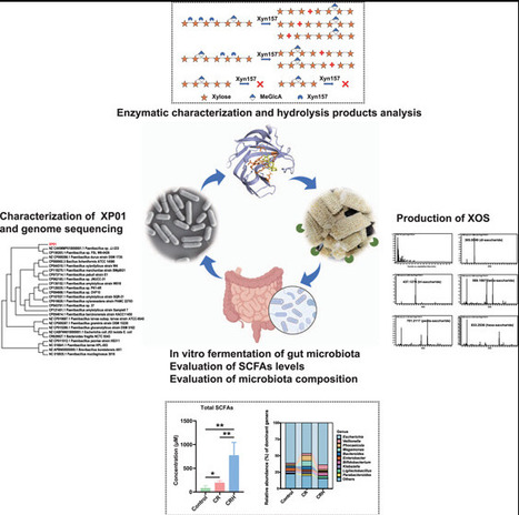 Characterization of a Cold-Active Xylanase from Paenibacillus sp. XP01, and Its Application in Hydrolyzing Alkali-Pretreated Corncob Residues | acs | RMH | Scoop.it